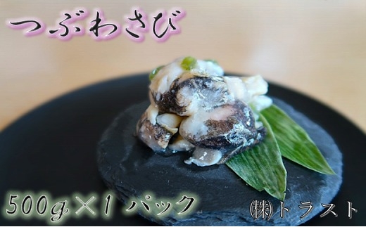 ykCszG-46001 y12/21܂ŔNzzykCYzԂ킳500g×1P