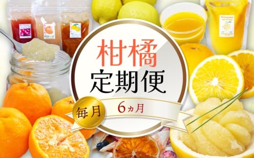 ym{sz 6 6 ʕ ۂ񂩂 y U  ͂  W[X B ݂ I[KjbN _ h sgp m {s k  IW t[c ʕ