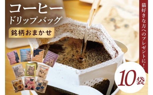 y錧szhbvobO@10A\[gZbgiL炯jbM[ R[q[   v` Mtg ˂ 錧 siCC011j