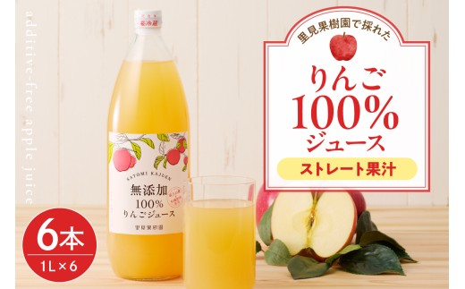 yR`RszyQOQUNQ`zʎō̂ꂽ񂲂POOW[X@Pk@U{Zbg@0079-2539