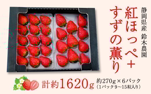 yÉ|sz2026NÉYugق+̌Ov6pbN 1.6kg(270g×6)y1127879z