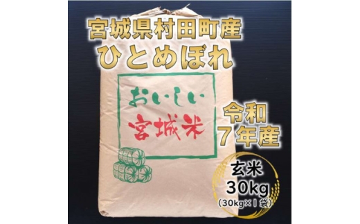 y{錧czߘa7NY ЂƂ߂ڂ 30kg {錧cYy1576073z