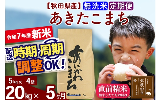 yHckHcszߘa7NY Vās5tHcY ܂ 20kgyāz(5kg) 2025NY ͂Iׂ ͂\ uɒOK  _Y