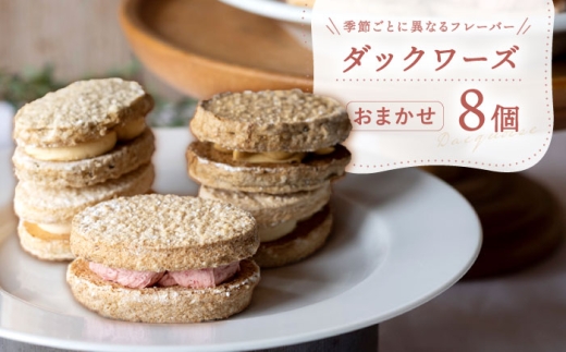 ダックワーズ おまかせ 8個 セット / お菓子 菓子 おかし 洋菓子 焼き