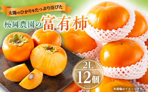 【真作 希少作】柿　加納 莞蕾（辰夫） 作 加納 莞蕾｜新・古美術 高美堂（こうびどう）｜掛軸販売・通販・買取