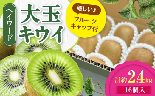 キウイ 【先行予約】【2026年11月上旬から順次発送】キウイフルーツ