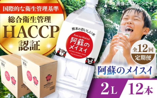 【全12回定期便】 阿蘇のメイスイ 2L 計12本(6本×2ケース) /  水 ペットボトル 2Lサイズ ミネラルウォーター 天然水 定期便 熊本県 菊陽町 阿蘇の天然水 天然ミネラルウォーター ペットボトル 2L ラベル 便利 保存用 軽量 家庭用 オフィス用 水分補給 旅行【丸富産業株式会社】 [BHDG030]