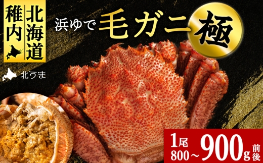 �y�k�C���t���s�z�y�t���Y�E�Ɂz �l��ŖуK�j(���I) 800g�`900��×1��KU139sku