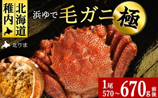 �y�k�C���t���s�z�y�t���Y�E�Ɂz �l��ŖуK�j(���I) 570g�`670��×1��