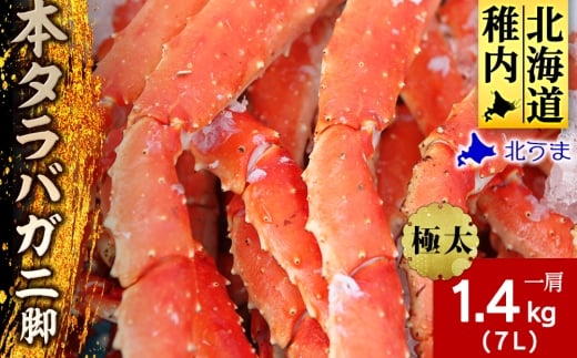 �y�k�C���t���s�z�ɑ��h�{�^���o�K�j�r1���h7L1.4kg