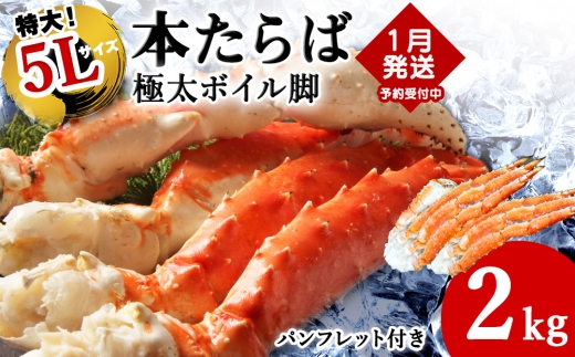 �y�k�C���t���s�z�y1�����{�����z�{����ΊI�{�C���r2kg�y1��1kg�̋ɑ�5L�T�C�Y�z