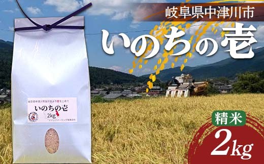 �y�򕌌����Ð�s�z���q��Y�u���̂��̈�v2kg F4N-2717