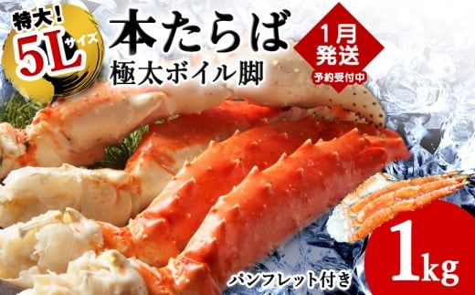 �y�k�C���t���s�z�y1����{�����z�{����ΊI�{�C���r1kg�y1��1kg�̋ɑ�5L�T�C�Y�z