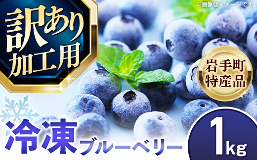 訳あり加工用】岩手町産冷凍ブルーベリー1kg フルーツ 果物 くだもの