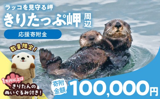 ラッコを見守る岬「きりたっぷ岬」周辺の環境整備 100000円分「きり