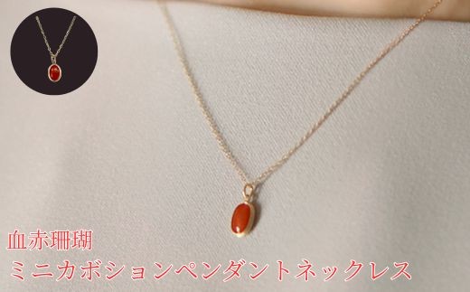 珊瑚 血赤珊瑚 ミニカボション ペンダント ネックレス K10イエロー