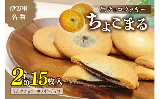 sd1_f70066deb9d23a2db0f1db31a0