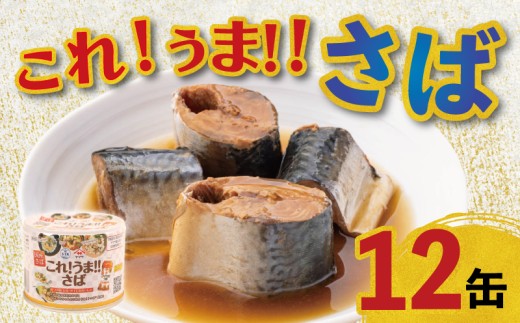 mmg　さんまで健康　さば照焼き　各２０缶　カレー缶　４種８缶　合計４８点 さんま蒲焼（100g）15缶セット(15缶セット 1缶100g×15): 食品