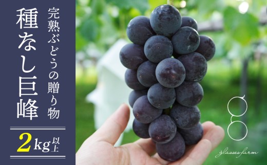 先行受付2026年発送】完熟ぶどうの贈り物（種なし巨峰4～5房、2kg以上
