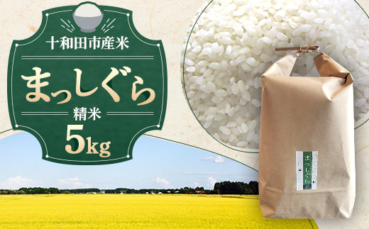 令和7年産＞十和田市産米「まっしぐら」精米 5kg【1688871】 - 青森県