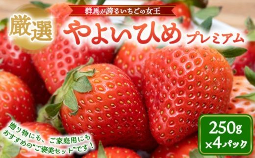 厳選 やよいひめ プレミアム 4パック ｜ いちご 大粒 高糖度 果物
