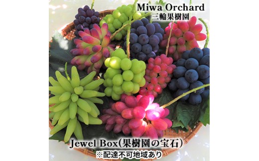 ぶどう 2026年 先行予約 ジュエルボックス 皮ごと食べることのできる