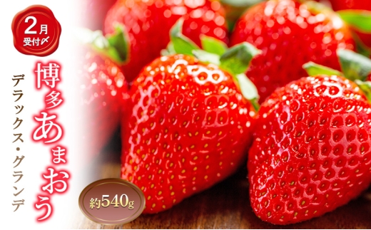 いちご 2パック 計約540g 博多あまおう デラックス グランデ セット
