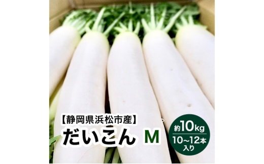 静岡県浜松市産】大根 Mサイズ 約10kg 10～12本入り 【配送不可：離島