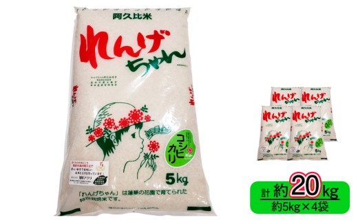 専用 れんげ米 白米20kg tam☆様専用 れんげ白20kg