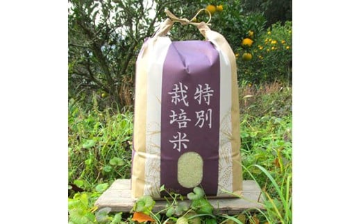 �y���Ɍ���S���z�y�L�@JAS�F�ؕāz�w�^�K���̗��E���R�āx2025�N�Y �����āu�͂�܂����v����10kg | ���� ������ �� �R�� ���� �͂�܂��� ���� �L�@JAS�F�ؕ� ���Ɍ� ��S��