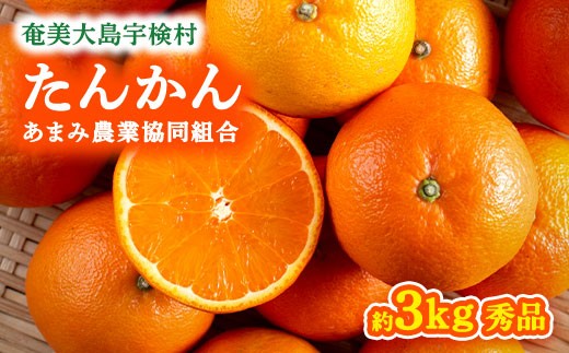奄美大島産 たんかん 20キロ 数量限定】 奄美 たんかん 2026年2月～発送分 予約受付 3kg L 2L