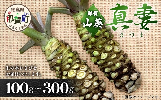 選べる内容量】那賀わさび (真妻) 約100g～約300g【徳島県 那賀町