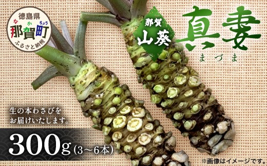 わさび A-1038 わさびセット - 島根県益田市｜ふるさとチョイス - ふるさと
