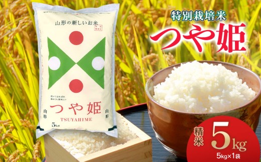 【令和7年産】特別栽培米 つや姫 精米 5kg (5kg×1袋) 山形県庄内産