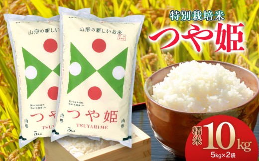 【令和7年産】特別栽培米 つや姫 精米 10kg (5kg×2袋) 山形県庄内産