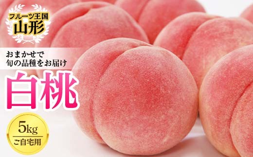 先行予約2026年度発送》フルーツ王国山形 白桃 5kg ご自宅用 もも モモ