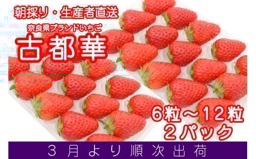 yޗǌ]zyL˒×]Agԗizޗǌuh Ós 3 270g2pbN(6`15) /  C`S Ós t[c ʕ {  uh ̂ n 