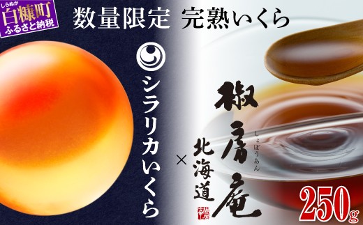 数量限定 完熟いくら【生いくら250g たれ70g】 - 北海道白糠町