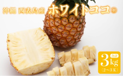 リピーター続出の希少種パイン！ 数量限定販売 先行予約 パイナップル