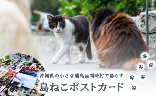 sd1_4c7e041beab7716942fa3653e1