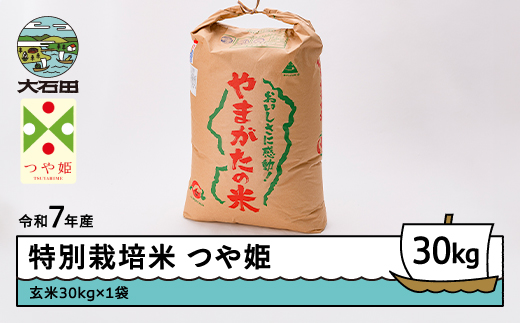 令和7年産つや姫⭐︎特別栽培米 山形県産 30kg 玄米 米 令和7年産 米 つや姫 30kg 大石田町産 特別栽培米 玄米 ※沖縄・離島