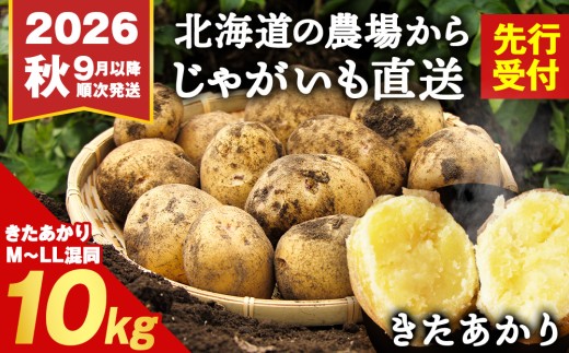 2026年 秋 発送】じゃがいも 10kg 北海道 きたあかり ジャガイモ 芋