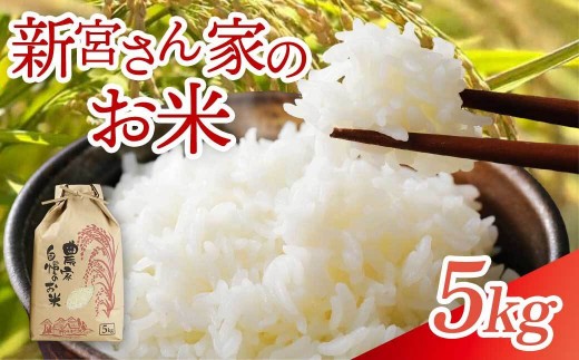 精米】大崎産 新宮ほのか米 （なつほのか）5kg - 鹿児島県大崎町