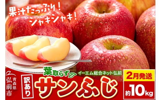 26年2月発送】りんご【訳あり】葉取らず サンふじ 約10kg 糖度 13度