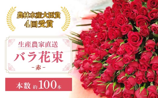 配送エリア限定・着日指定必須＞ 生産農家直送 バラ 花束 新鮮 約100本