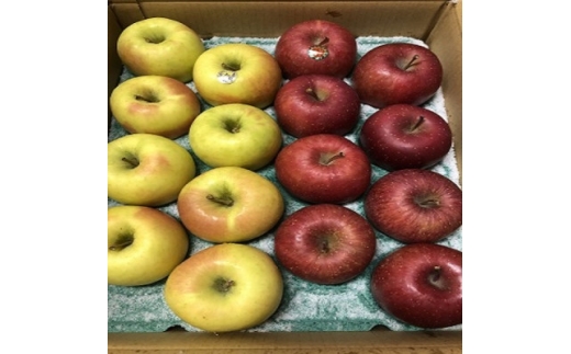 サンふじ&ぐんま名月＜家庭用＞約5キロ 農家直送 青森りんご【1568470