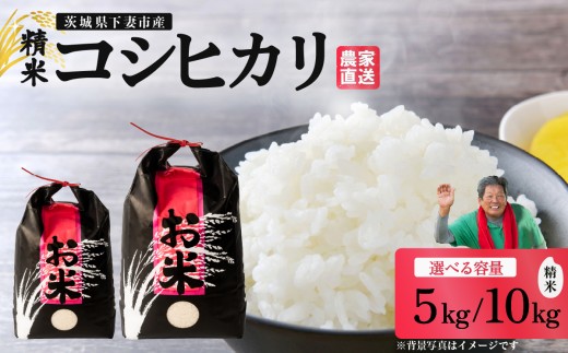 精米 コシヒカリ「5kg / 10kg」から選べる 茨城県下妻市産 【 米 お米