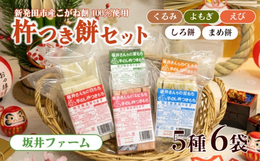 杵つき餅セット 餅5種6袋 ふるさと直送 餅 もち セット 坂井ファーム