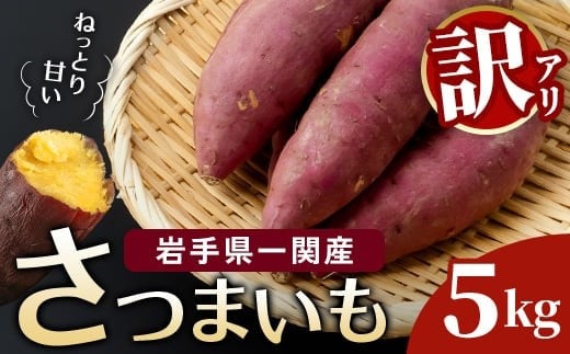 �y��茧��֎s�z�󂠂� ���܂��� ���܂͂Â� 5kg �V�i�� ��֎s�Y �T�c�}�C�� �˂��Ƃ� �Â� �l�C ���܈� �F���� ��茧 ��֎s