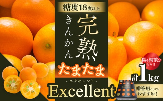 糖度18度以上!! 完熟きんかん たまたま エクセレント 計1kg 傷み補償分